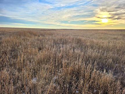 Land for sale in Kiowa County, Colorado
