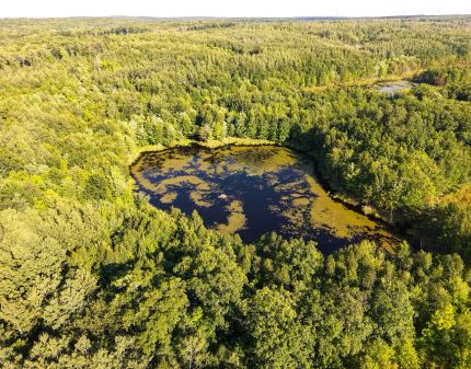 Land for sale in Sawyer County, Wisconsin