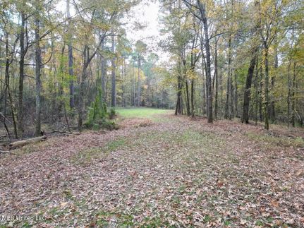 Land for sale in Franklin County, Mississippi