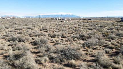 Undeveloped Land for sale in Alamosa County, Colorado
