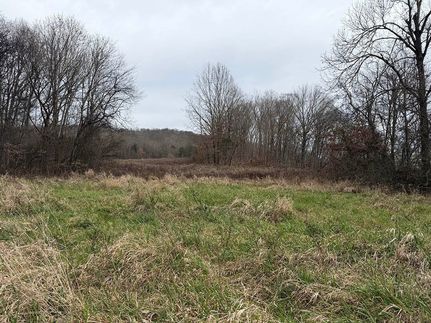 Undeveloped Land for sale in Logan County, Kentucky
