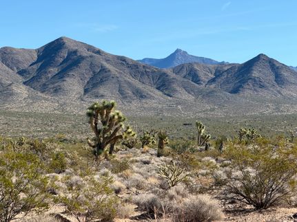 Undeveloped Land for sale in Mohave County, Arizona
