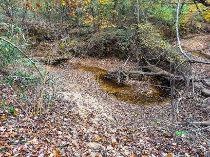 Land for sale in Shelby County, Texas