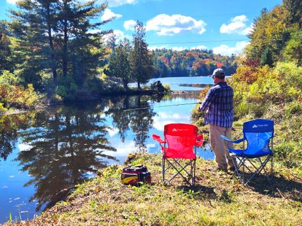 Timberland Property for sale in Lewis County, New York