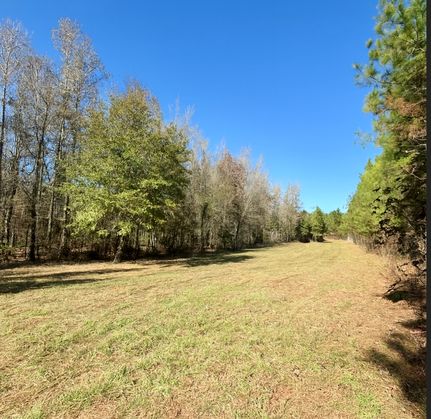 Land for sale in Harris County, Georgia