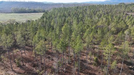 Land for sale in Cherokee County, Alabama