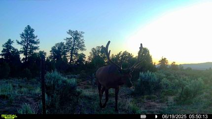 Farm and Ranch for sale in Rio Arriba County, New Mexico