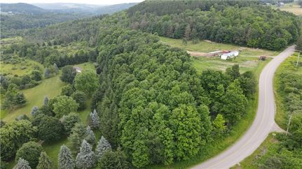 Farm and Ranch for sale in Steuben County, New York