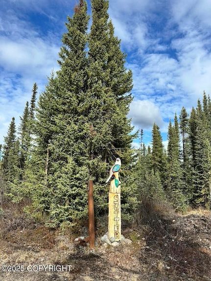 Undeveloped Land for sale in Valdez Cordova Borough, Alaska