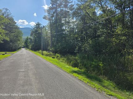 Timberland Property for sale in Greene County, New York