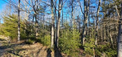 Commercial Property for sale in Sullivan County, New York