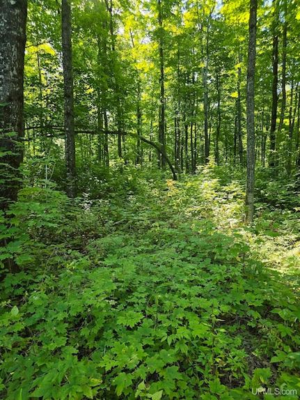 Recreational Property for sale in Houghton County, Michigan