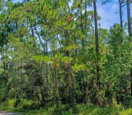 Recreational Property for sale in Mobile County, Alabama