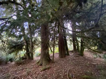 Timberland Property for sale in Clatsop County, Oregon