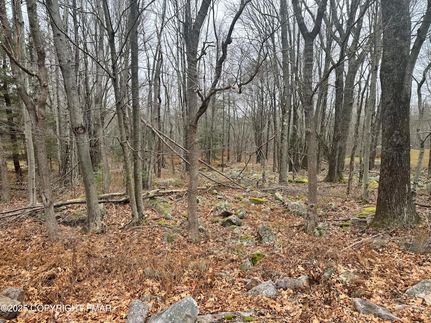 Recreational Property for sale in Monroe County, Pennsylvania