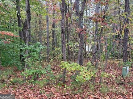 Land for sale in Carroll County, Georgia