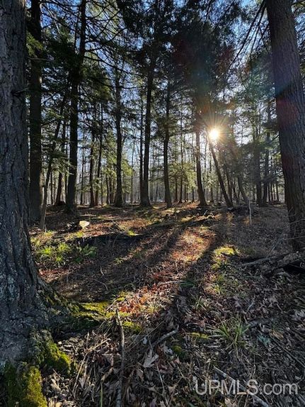 Timberland Property for sale in Baraga County, Michigan