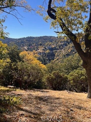 Undeveloped Land for sale in San Bernardino County, California