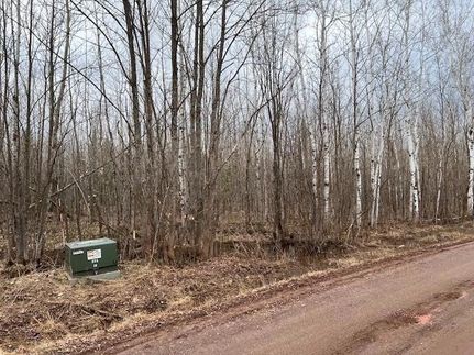 Undeveloped Land for sale in Iron County, Wisconsin