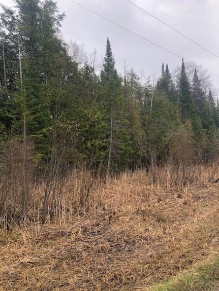 Hunting Property for sale in Cheboygan County, Michigan