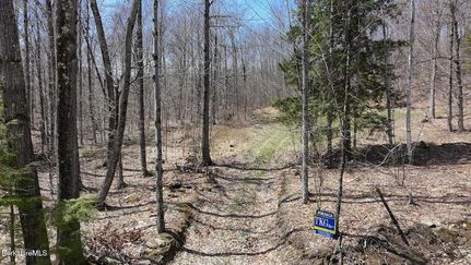 Recreational Property for sale in Berkshire County, Massachusetts