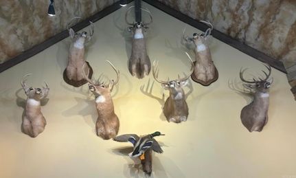 Land for sale in Arkansas County, Arkansas