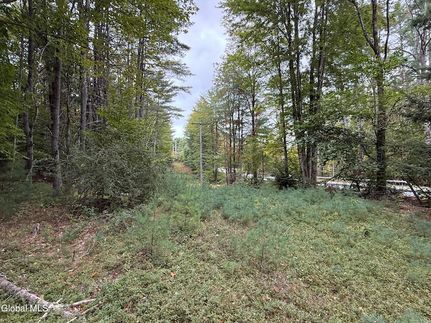 Timberland Property for sale in Warren County, New York