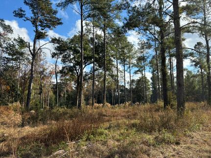 Farm and Ranch for sale in Gadsden County, Florida