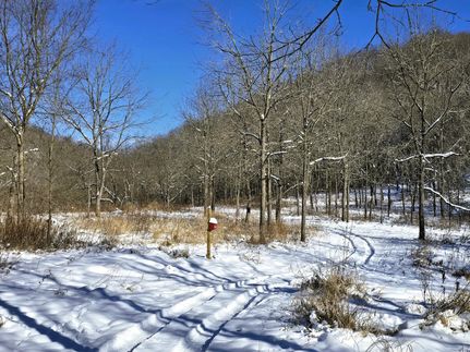 Timberland Property for sale in Richland County, Wisconsin