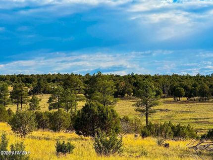 Land for sale in Navajo County, Arizona