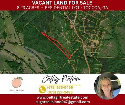 Timberland Property for sale in Franklin County, Georgia
