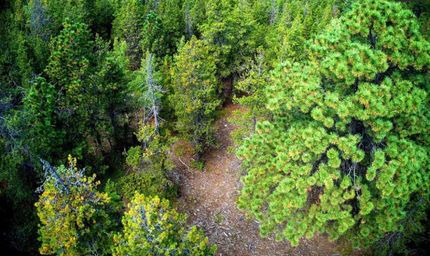 Land for sale in Clear Creek County, Colorado