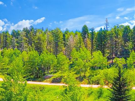 Land for sale in Park County, Colorado