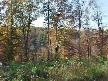 Farm and Ranch for sale in Richmond County, Virginia