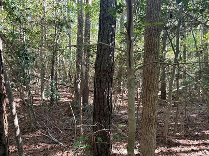 Timberland Property for sale in Northumberland County, Virginia
