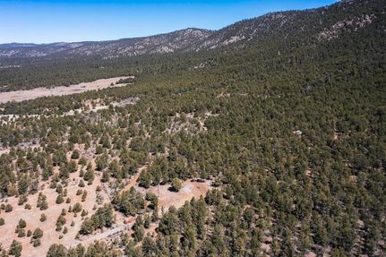 Undeveloped Land for sale in Rio Arriba County, New Mexico