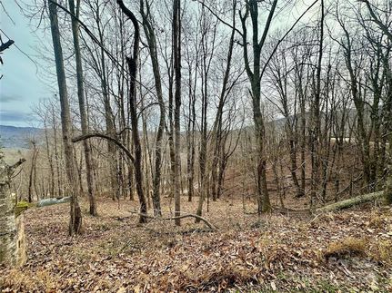 Farm and Ranch for sale in Watauga County, North Carolina