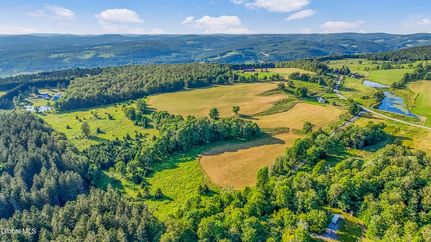 Timberland Property for sale in Schoharie County, New York