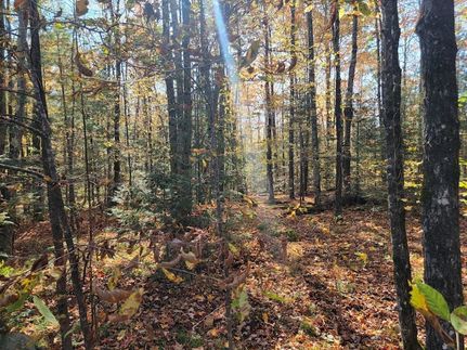 Recreational Property for sale in Sawyer County, Wisconsin
