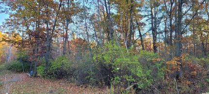 Undeveloped Land for sale in Mason County, Michigan