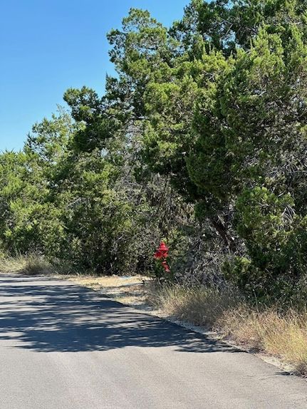 Undeveloped Land for sale in Travis County, Texas