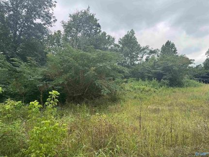 Commercial Property for sale in Marshall County, Alabama