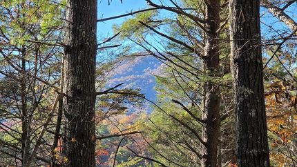 Farm and Ranch for sale in Polk County, Tennessee