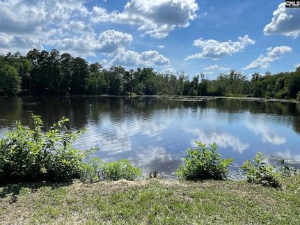 Undeveloped Land for sale in Lexington County, South Carolina