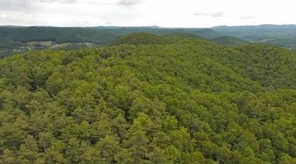 Undeveloped Land for sale in Mercer County, West Virginia