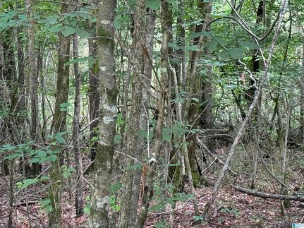 Timberland Property for sale in Etowah County, Alabama