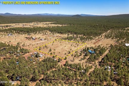 Undeveloped Land for sale in Navajo County, Arizona