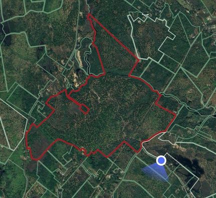 Timberland Property for sale in York County, Maine