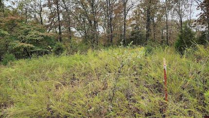 Oceanfront Property for sale in Marion County, Arkansas