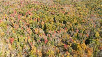 Farm and Ranch for sale in Fulton County, New York